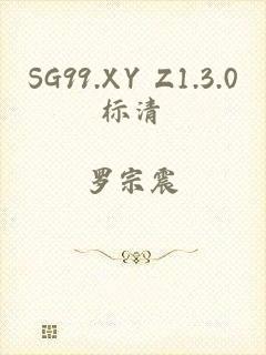 SG99.XY Z1.3.0标清